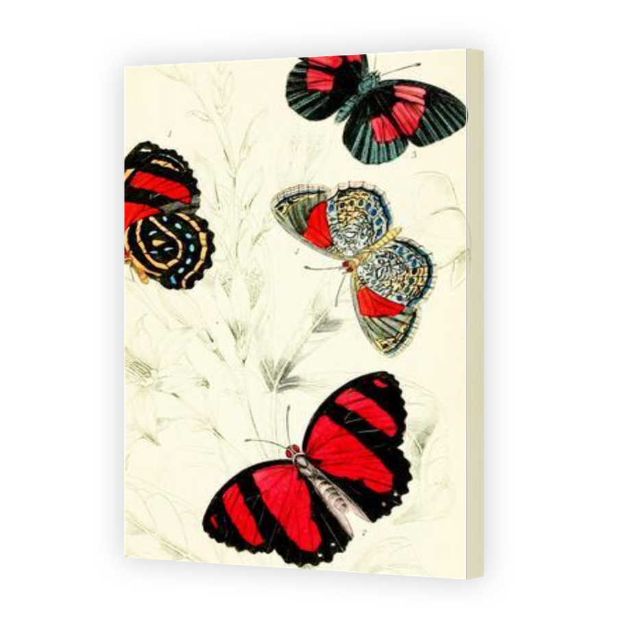 Thumbnail for Canvas - Gallery Canvas Wrap