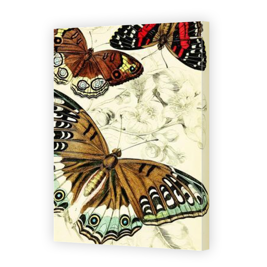 Thumbnail for Canvas - Gallery Canvas Wrap