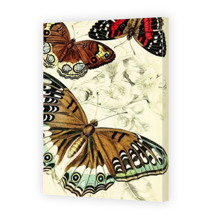 Thumbnail for Canvas - Gallery Canvas Wrap