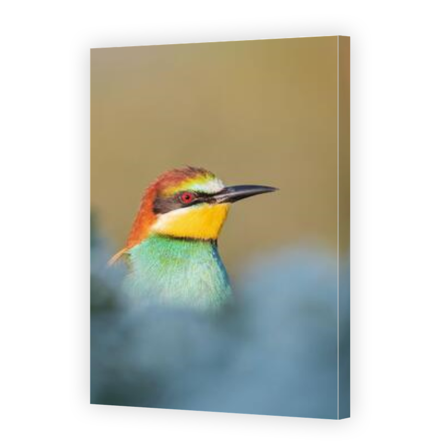 Thumbnail for Canvas - Gallery Canvas Wrap