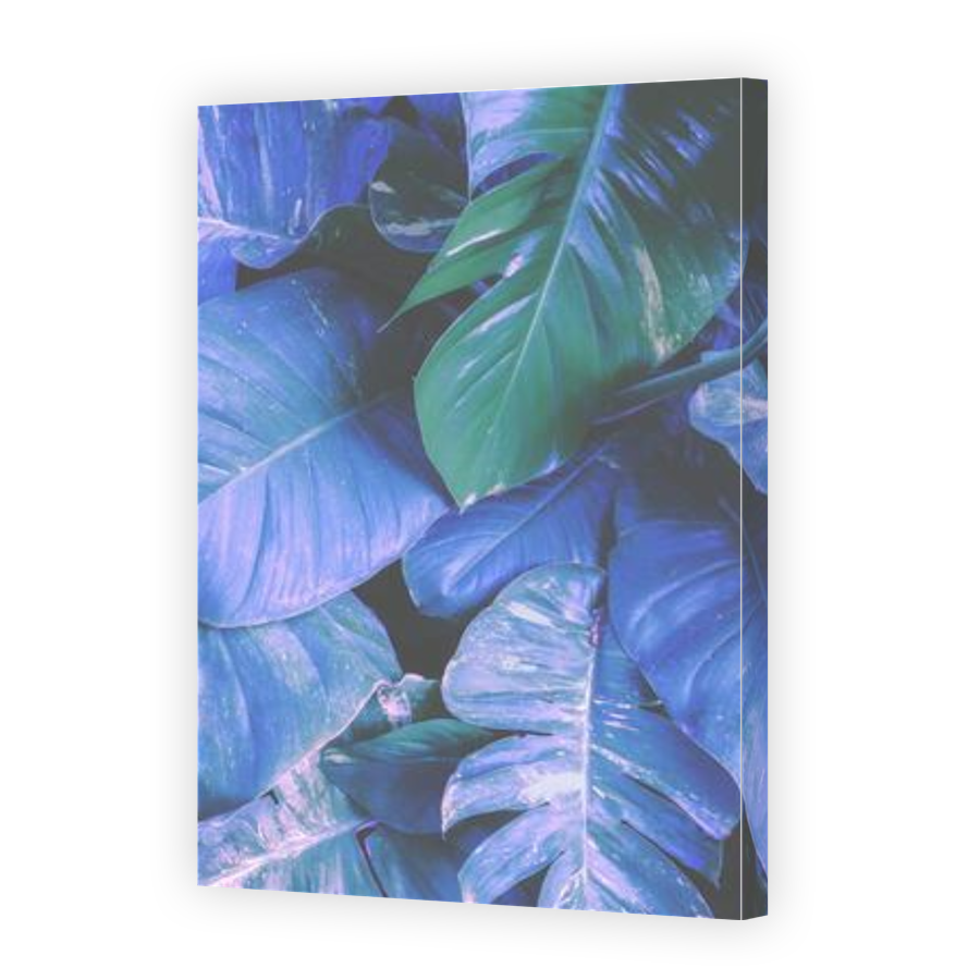 Thumbnail for Canvas - Gallery Canvas Wrap