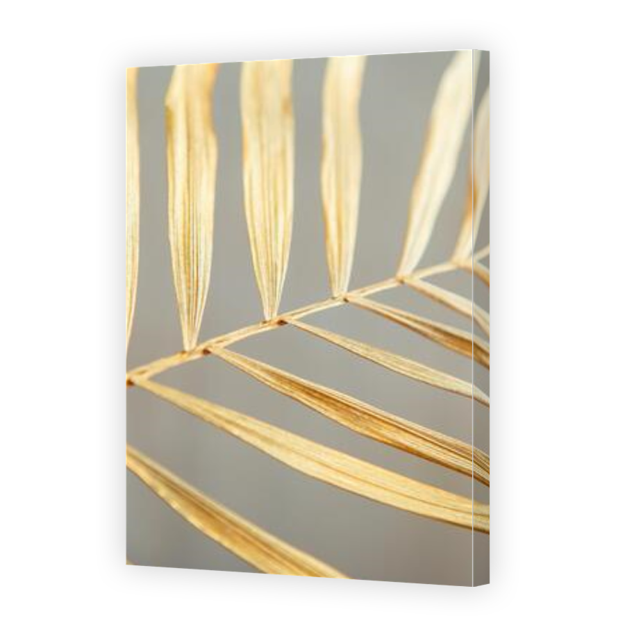 Thumbnail for Canvas - Gallery Canvas Wrap