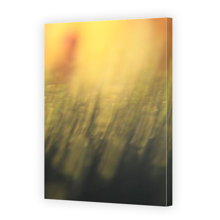 Thumbnail for Canvas - Gallery Canvas Wrap