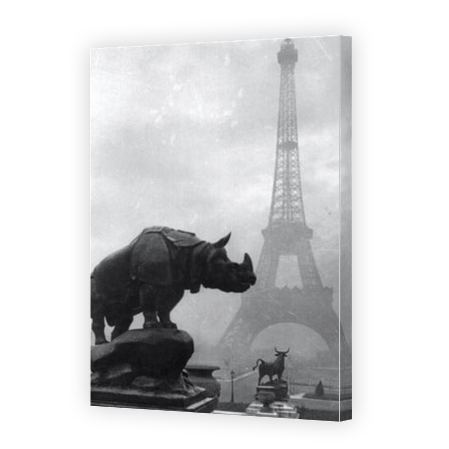 Thumbnail for Canvas - Gallery Canvas Wrap