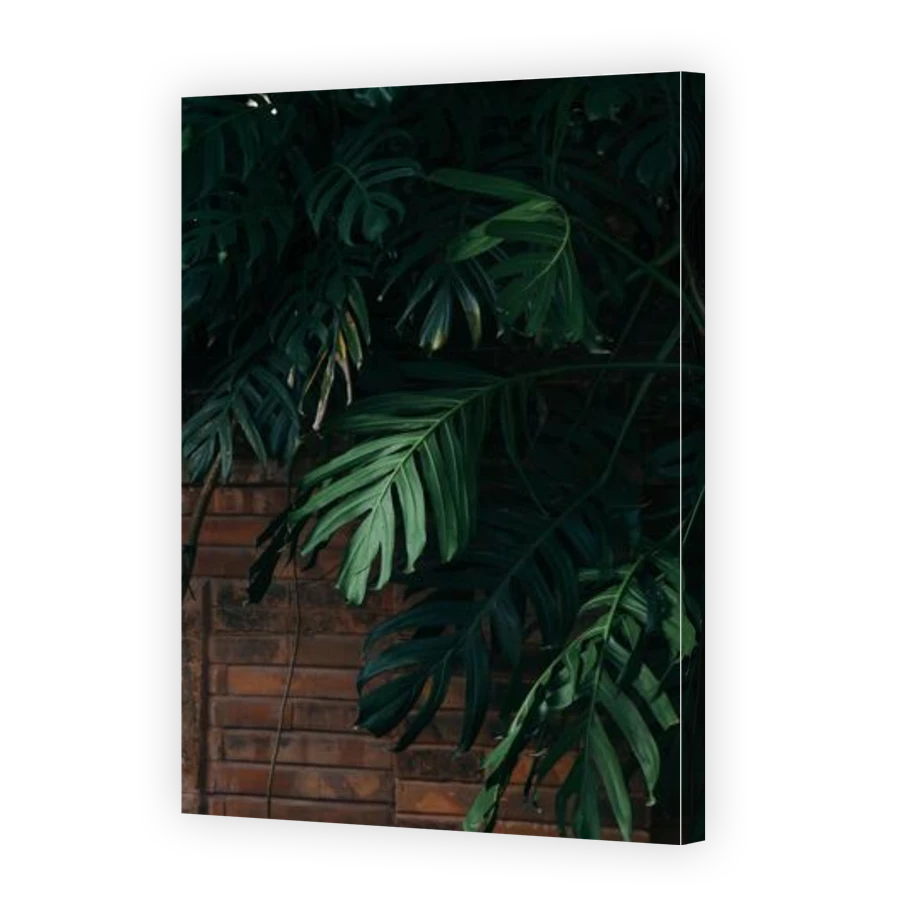 Thumbnail for Canvas - Gallery Canvas Wrap