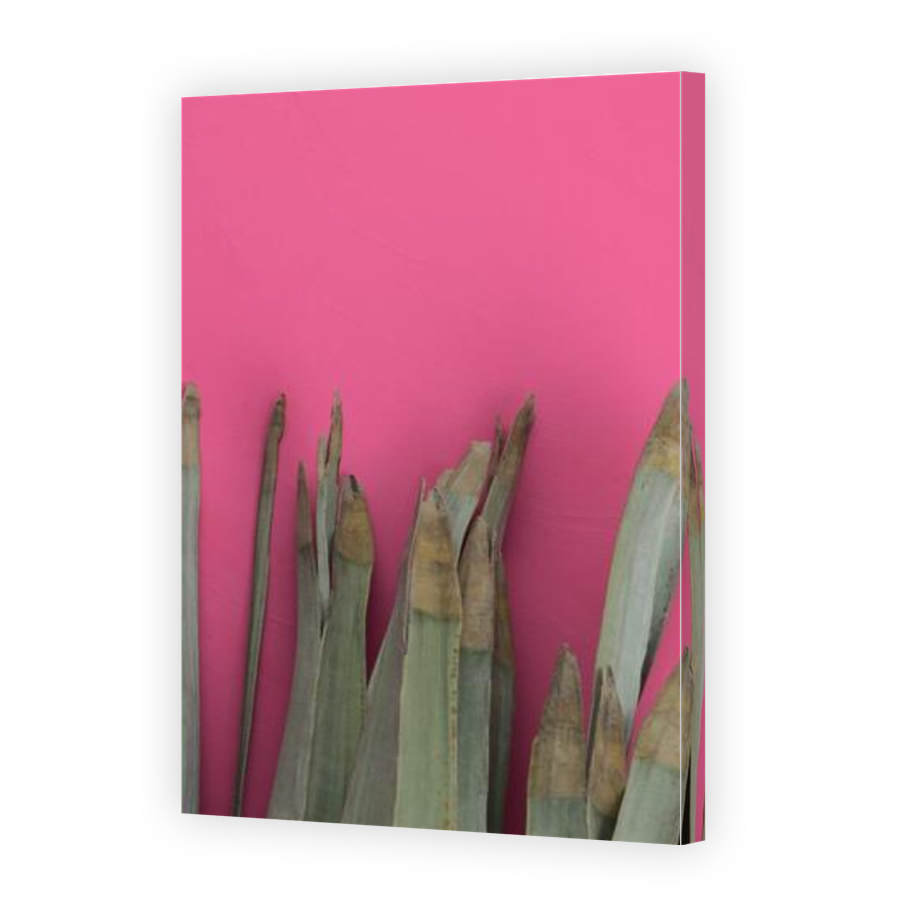Thumbnail for Canvas - Gallery Canvas Wrap