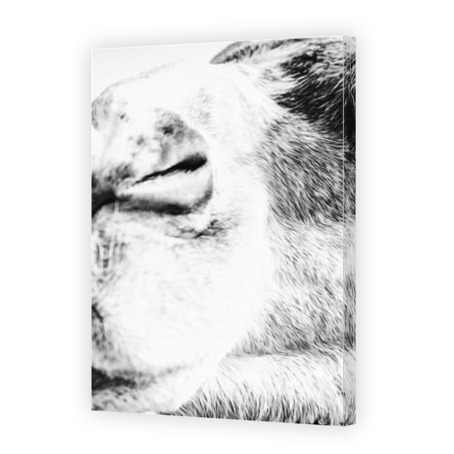 Thumbnail for Canvas - Gallery Canvas Wrap