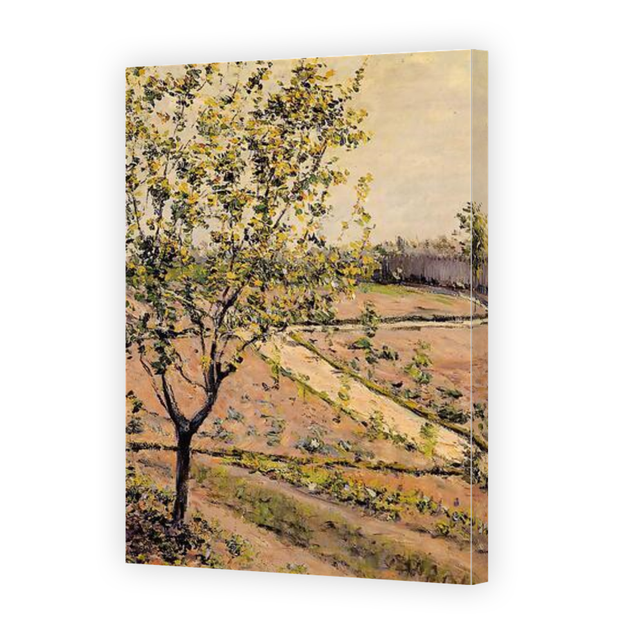 Thumbnail for Canvas - Gallery Canvas Wrap