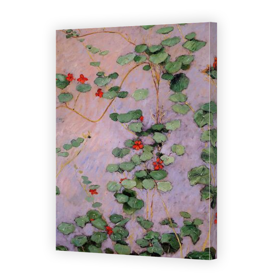 Thumbnail for Canvas - Gallery Canvas Wrap