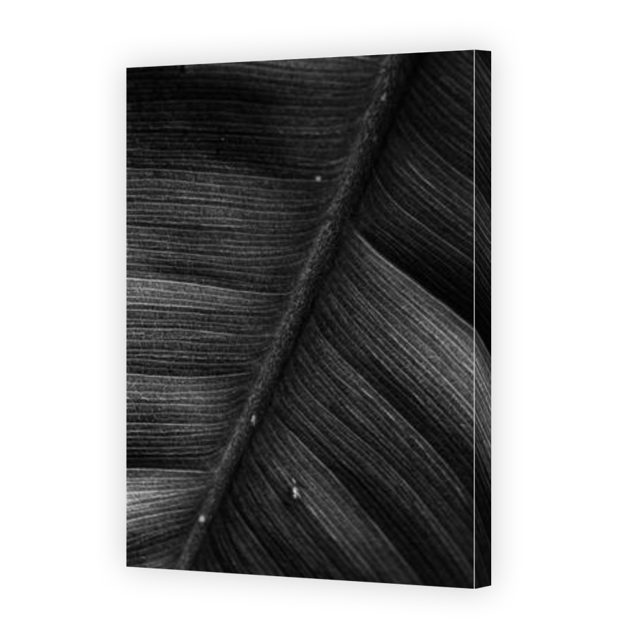 Thumbnail for Canvas - Gallery Canvas Wrap