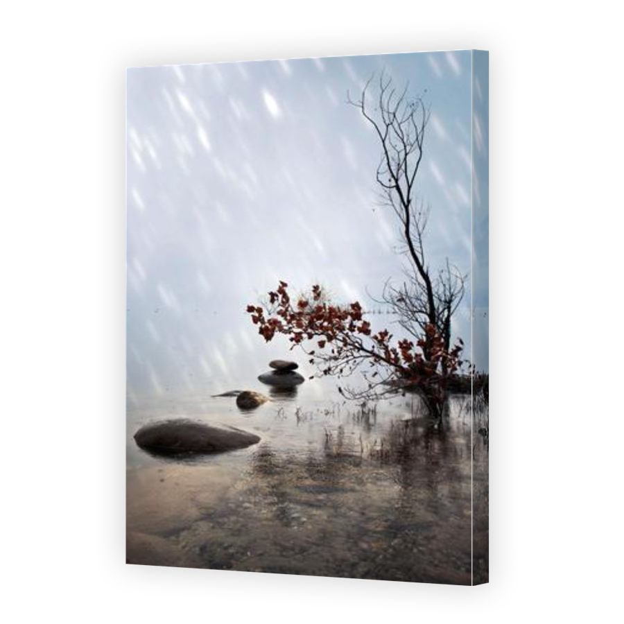 Thumbnail for Canvas - Gallery Canvas Wrap