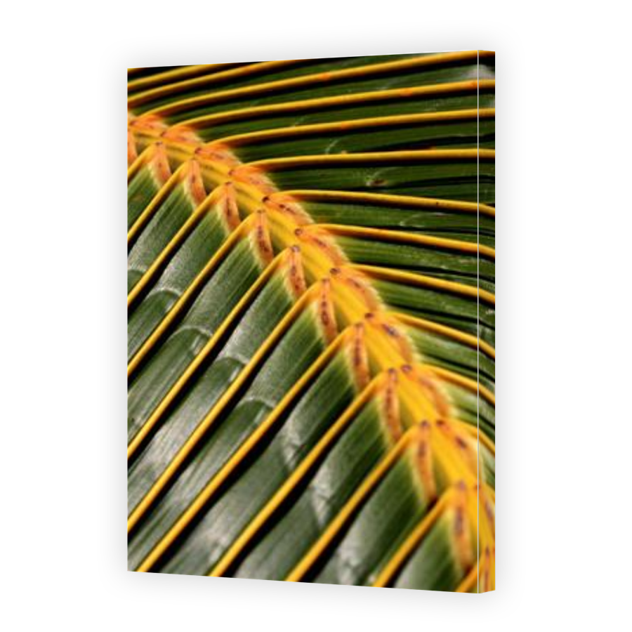 Thumbnail for Canvas - Gallery Canvas Wrap