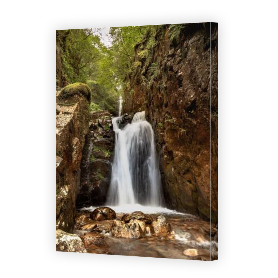 Thumbnail for Canvas - Gallery Canvas Wrap