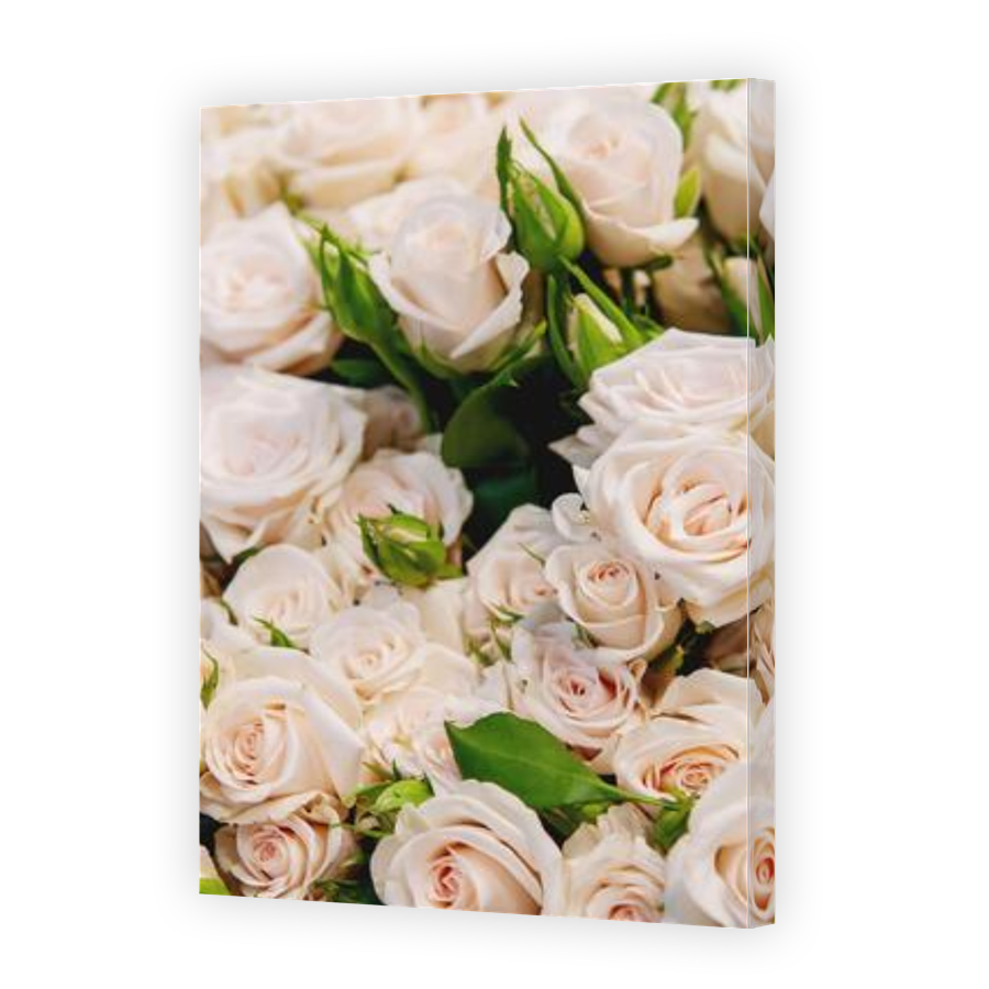 Thumbnail for Canvas - Gallery Canvas Wrap