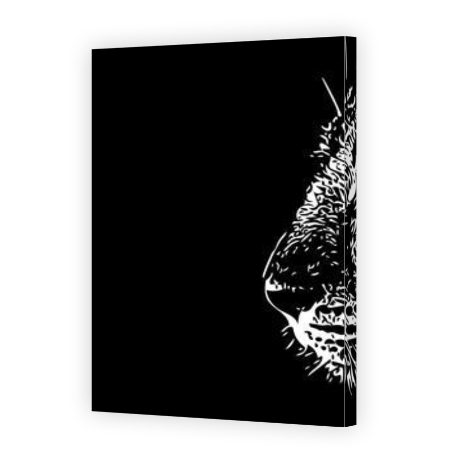 Thumbnail for Canvas - Gallery Canvas Wrap
