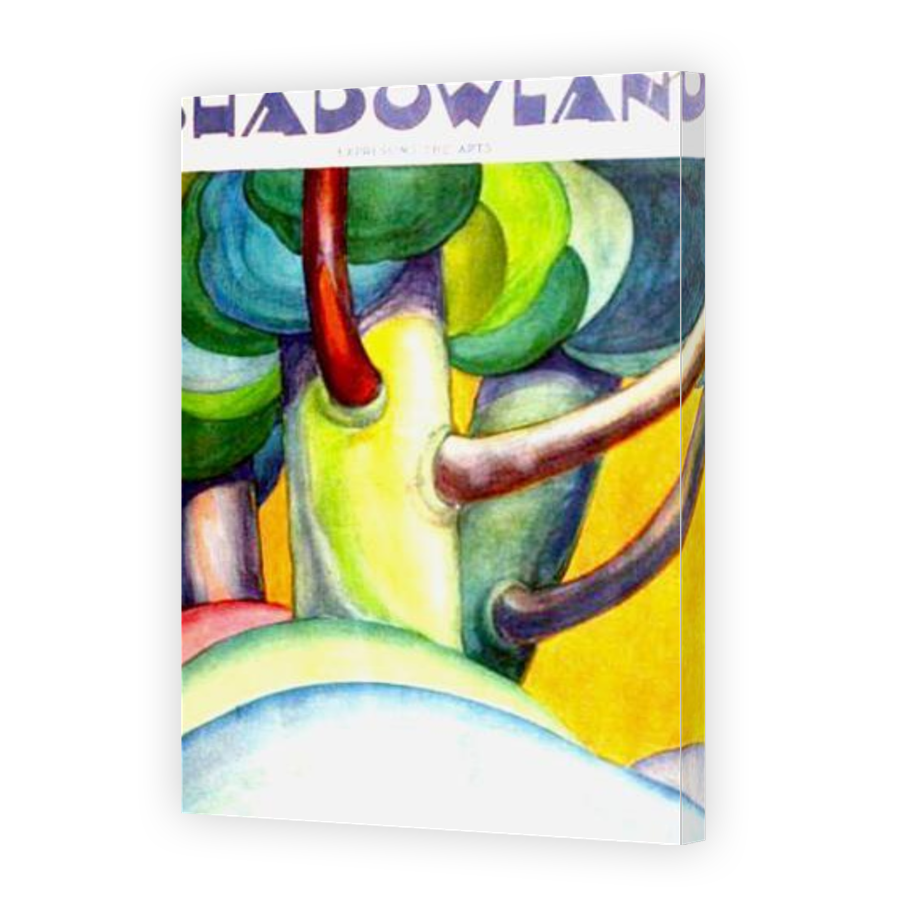 Thumbnail for Canvas - Gallery Canvas Wrap