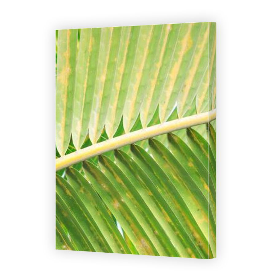 Thumbnail for Canvas - Gallery Canvas Wrap
