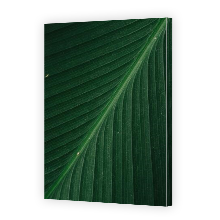 Thumbnail for Canvas - Gallery Canvas Wrap