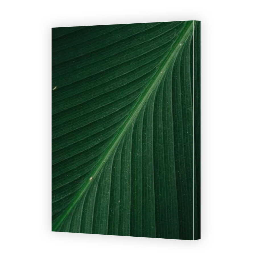 Thumbnail for Canvas - Gallery Canvas Wrap