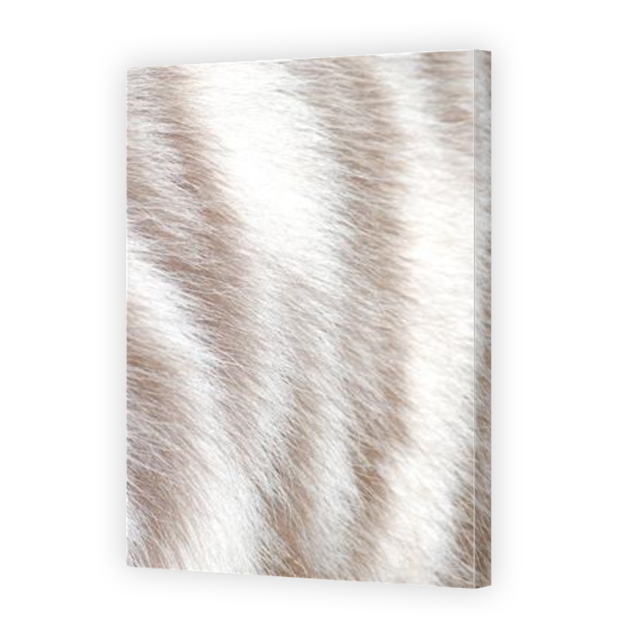Thumbnail for Canvas - Gallery Canvas Wrap