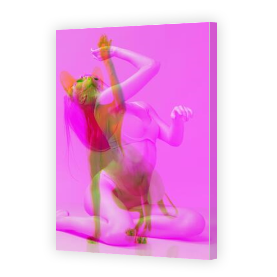 Thumbnail for Canvas - Gallery Canvas Wrap