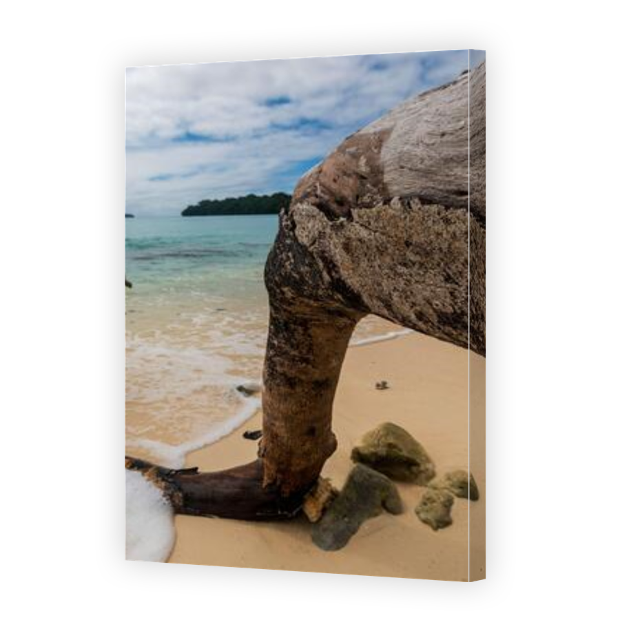 Thumbnail for Canvas - Gallery Canvas Wrap