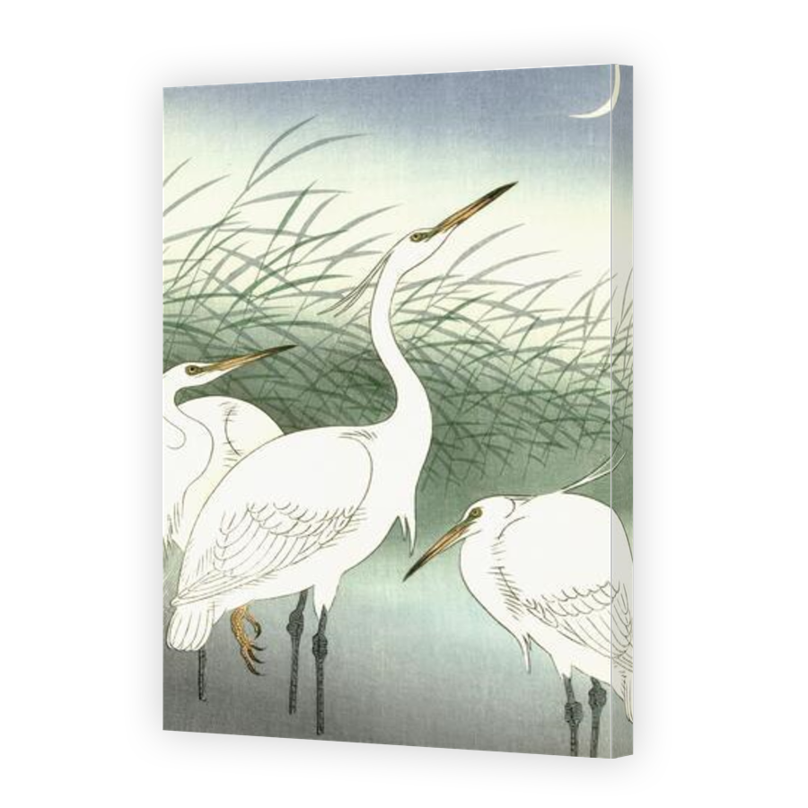 Thumbnail for Canvas - Gallery Canvas Wrap
