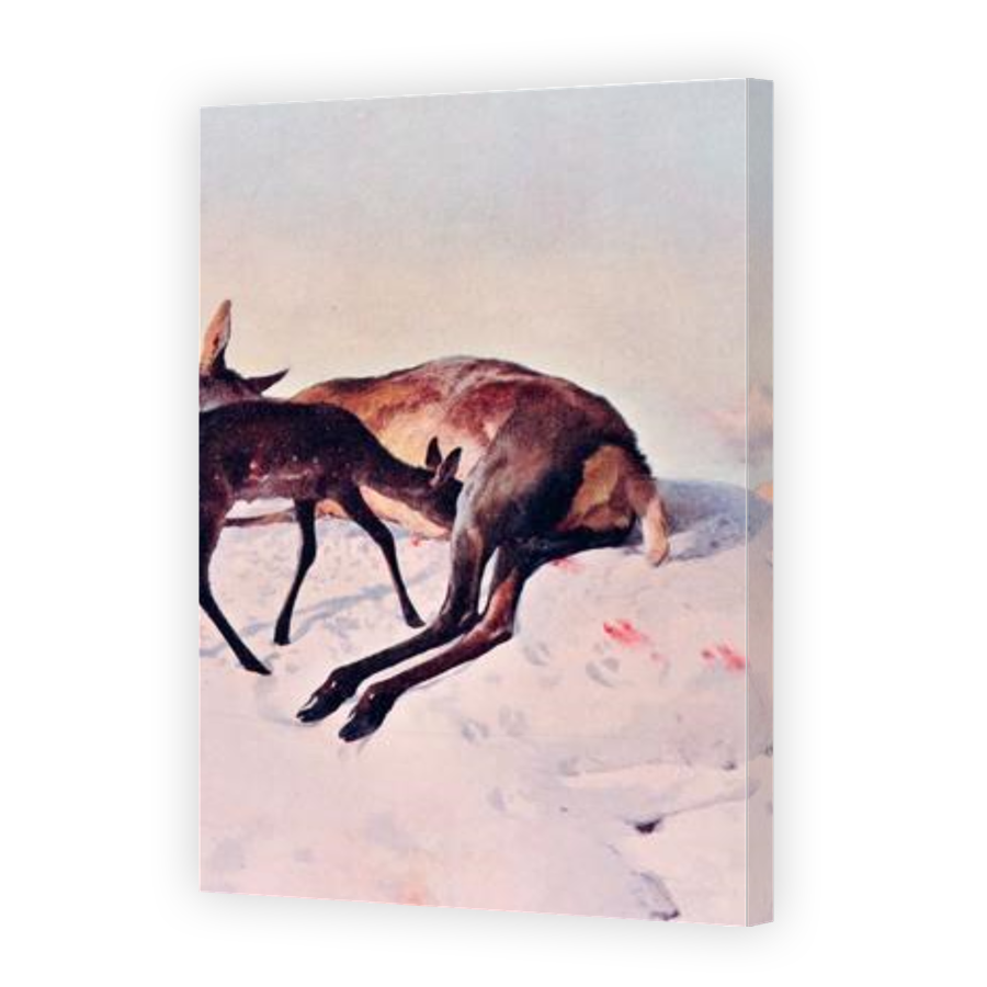Thumbnail for Canvas - Gallery Canvas Wrap