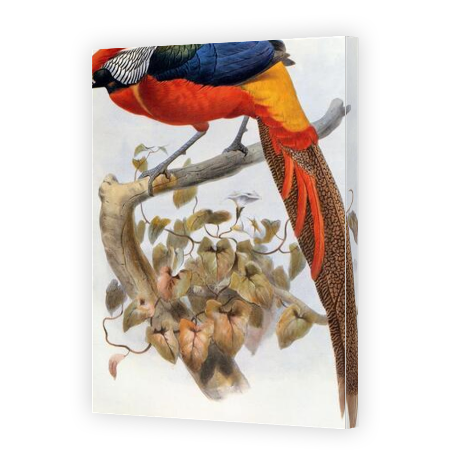 Thumbnail for Canvas - Gallery Canvas Wrap