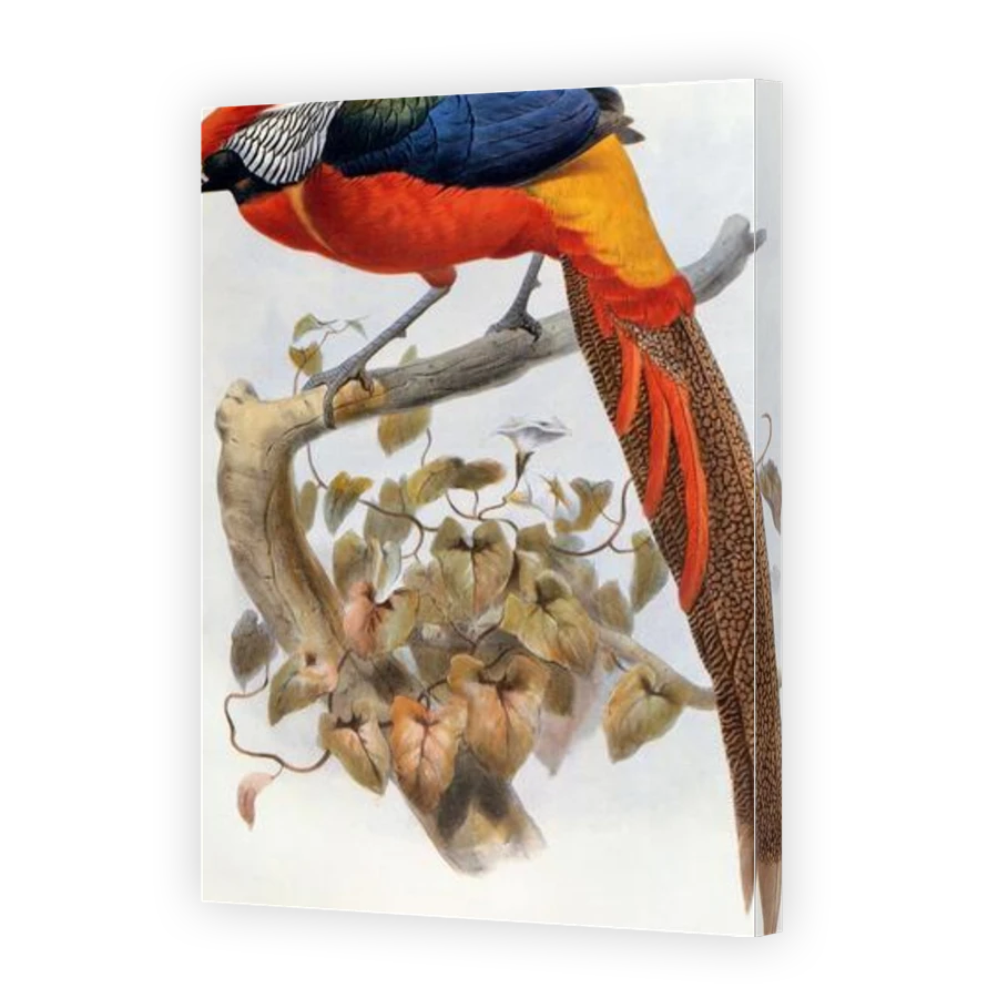 Thumbnail for Canvas - Gallery Canvas Wrap