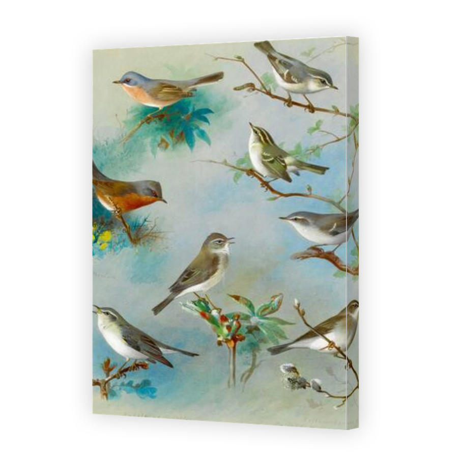 Thumbnail for Canvas - Gallery Canvas Wrap