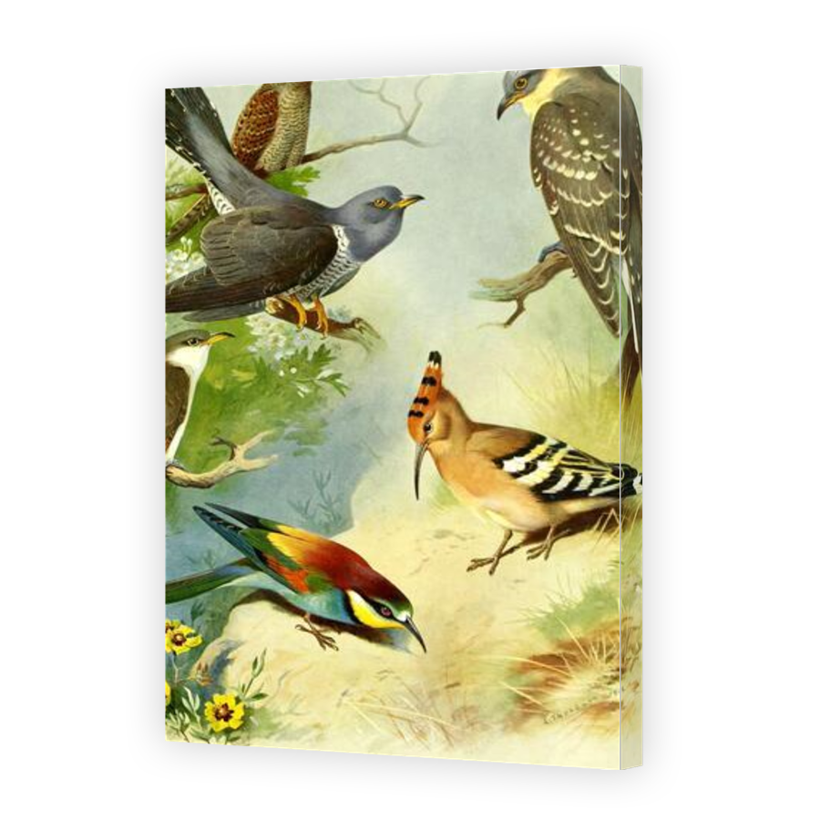 Thumbnail for Canvas - Gallery Canvas Wrap