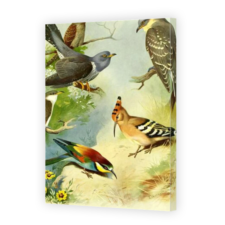 Thumbnail for Canvas - Gallery Canvas Wrap