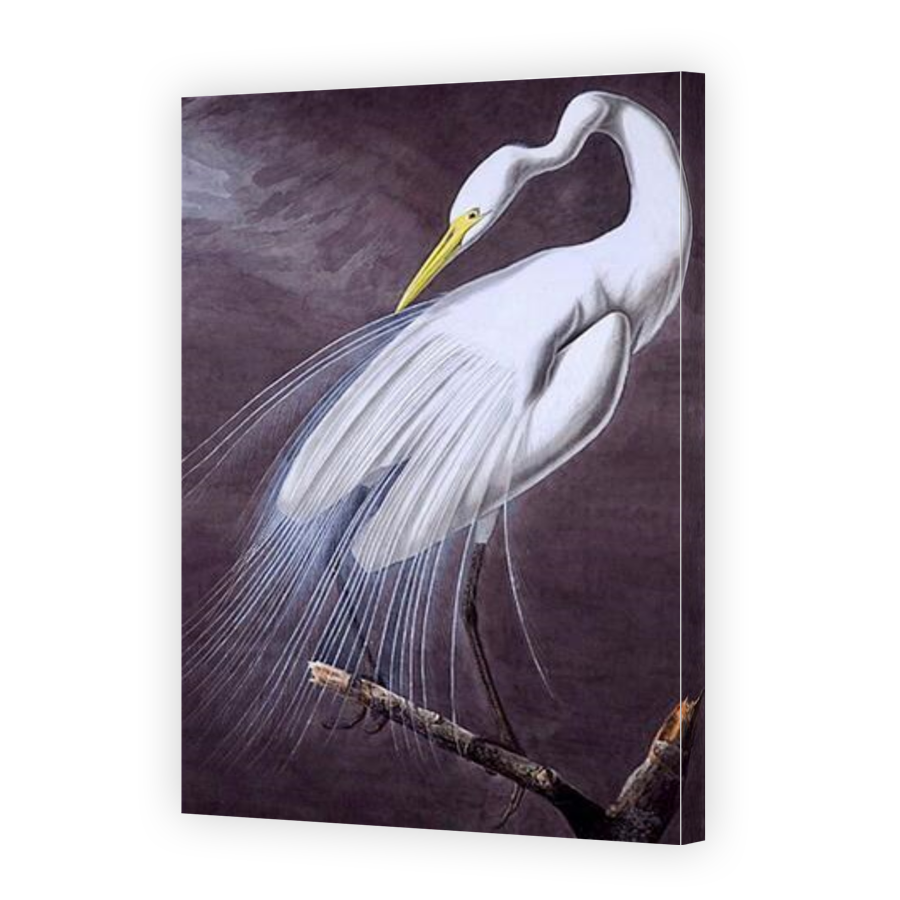 Thumbnail for Canvas - Gallery Canvas Wrap