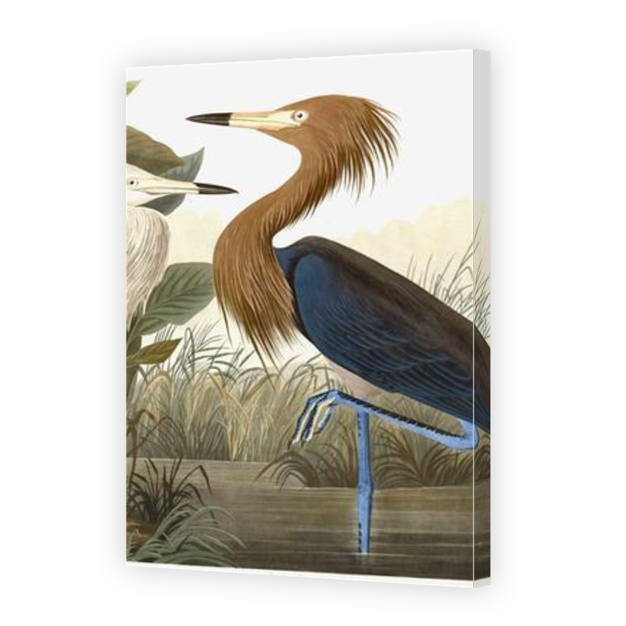 Thumbnail for Canvas - Gallery Canvas Wrap