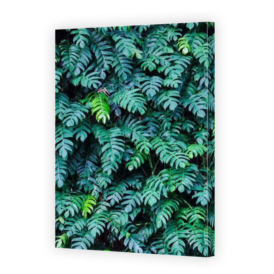 Thumbnail for Canvas - Gallery Canvas Wrap