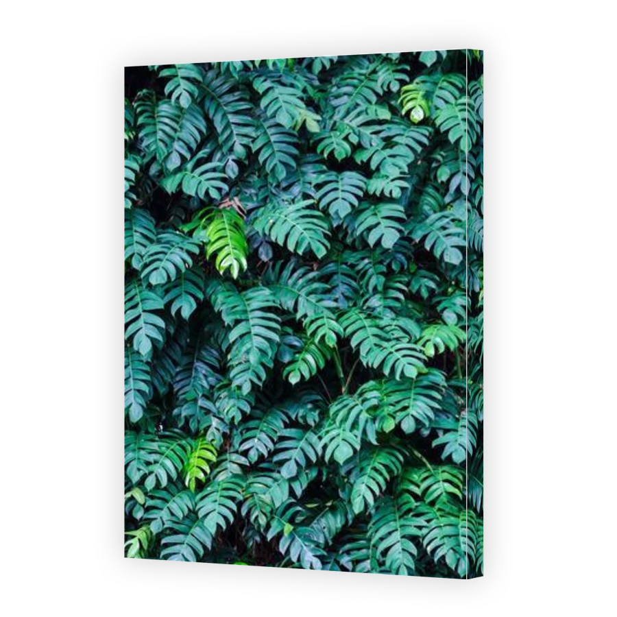 Thumbnail for Canvas - Gallery Canvas Wrap