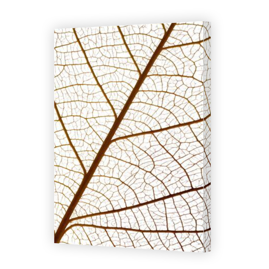 Thumbnail for Canvas - Gallery Canvas Wrap