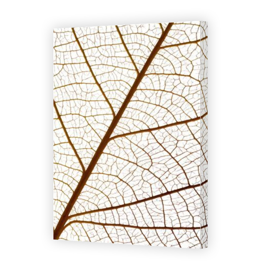 Thumbnail for Canvas - Gallery Canvas Wrap