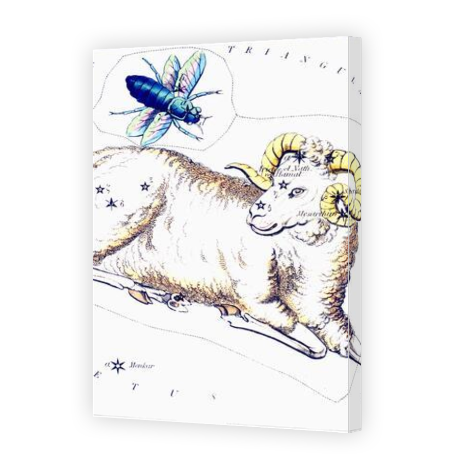 Thumbnail for Canvas - Gallery Canvas Wrap