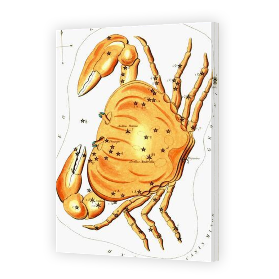 Thumbnail for Canvas - Gallery Canvas Wrap