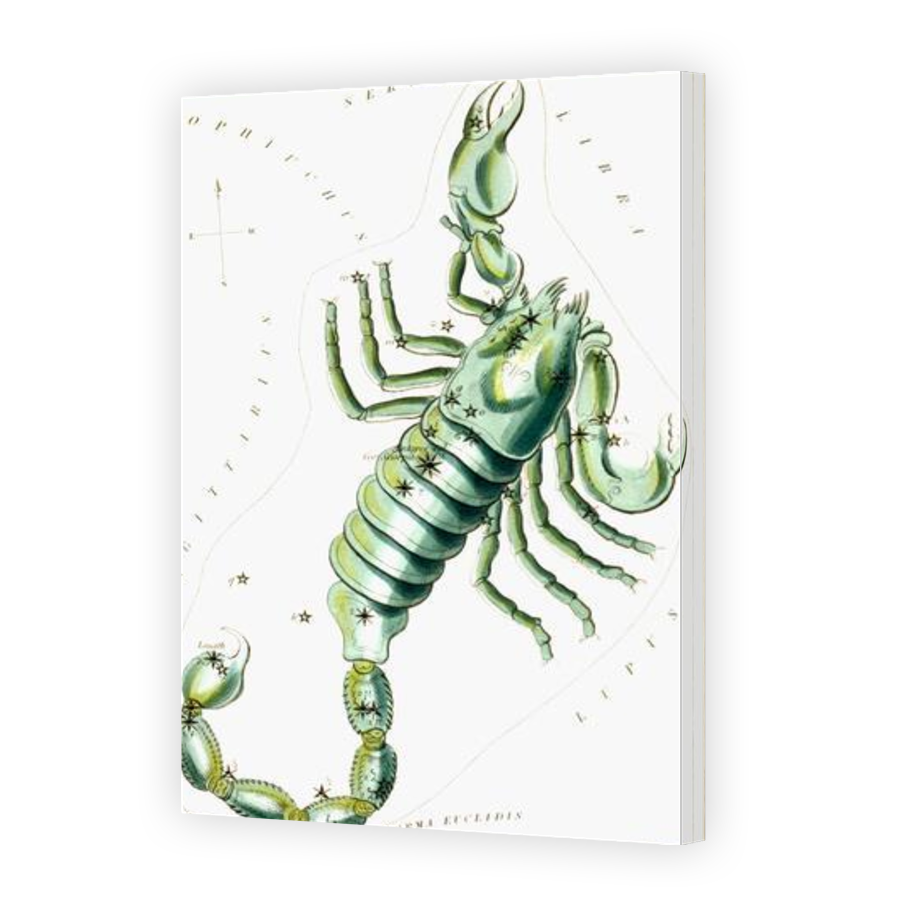 Thumbnail for Canvas - Gallery Canvas Wrap