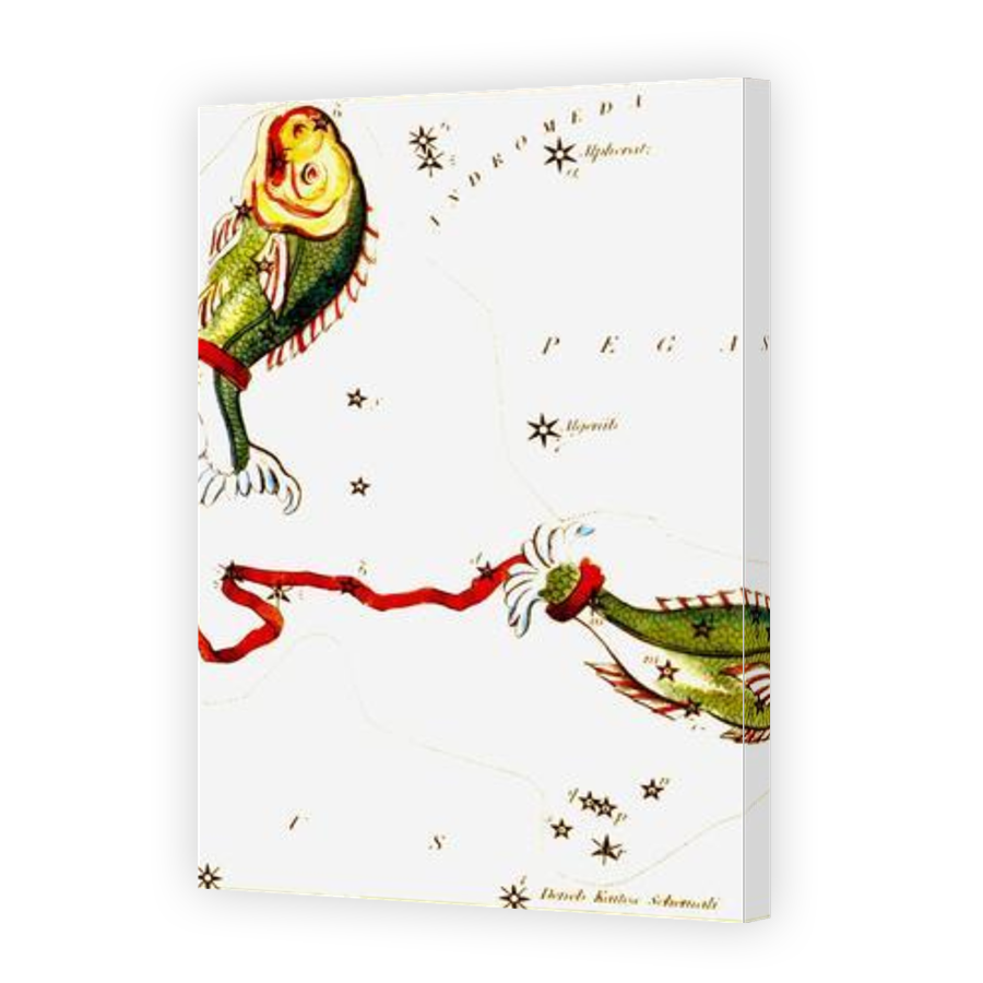 Thumbnail for Canvas - Gallery Canvas Wrap