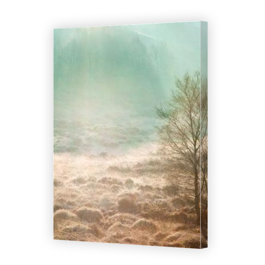 Thumbnail for Canvas - Gallery Canvas Wrap