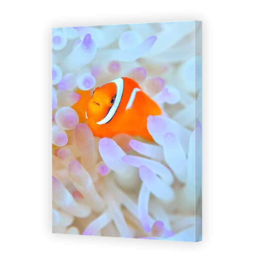 Thumbnail for Canvas - Gallery Canvas Wrap