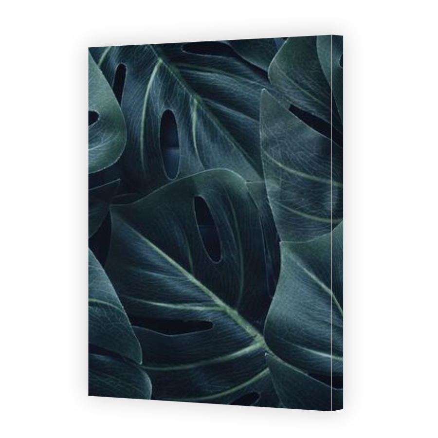Thumbnail for Canvas - Gallery Canvas Wrap