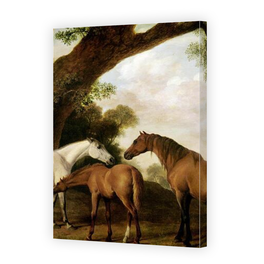 Thumbnail for Canvas - Gallery Canvas Wrap