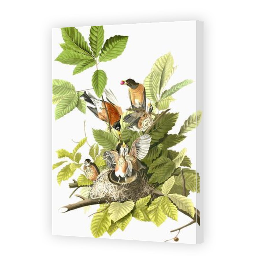 Thumbnail for Canvas - Gallery Canvas Wrap