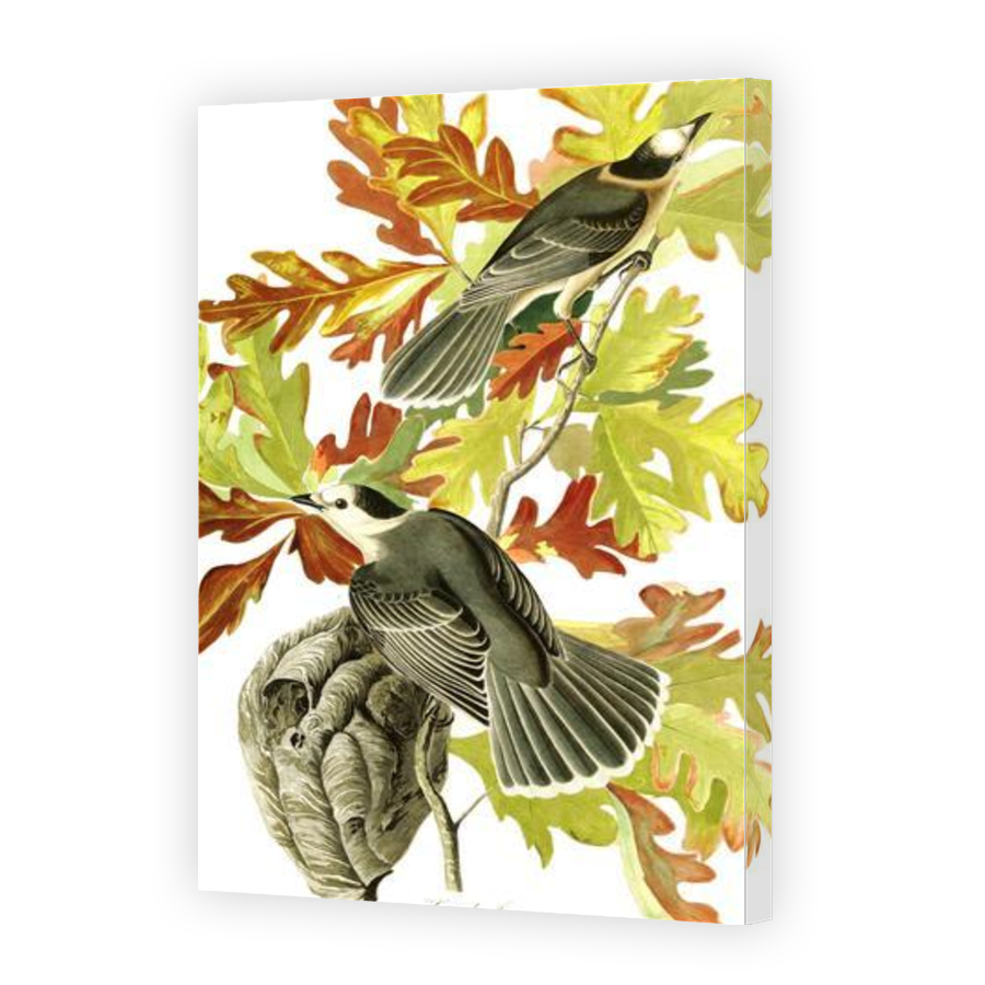 Thumbnail for Canvas - Gallery Canvas Wrap