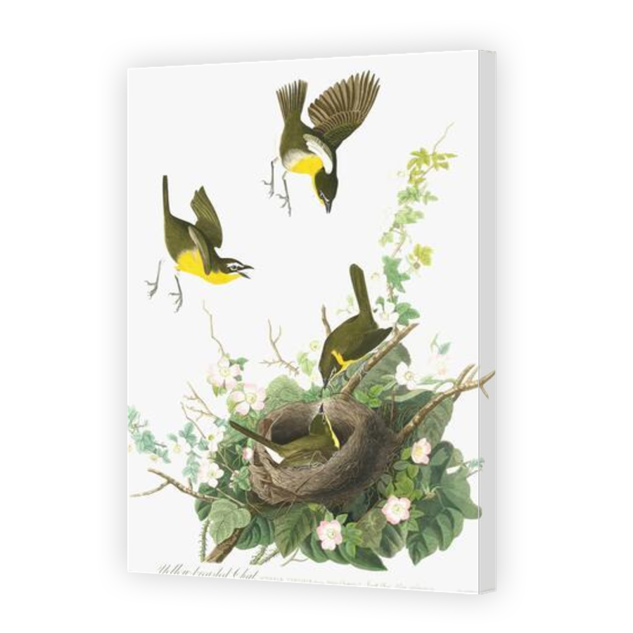 Thumbnail for Canvas - Gallery Canvas Wrap